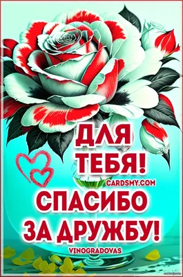 Поздравление с годовщиной дружбы подруге (54 шт)