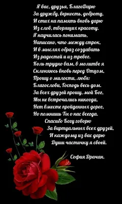 О дружбе красивыми словами: 20 цитат про дружбу, на которые стоит обратить  внимание - 7Дней.ру