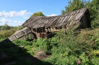 Заброшенная деревня, где прошло мое детство | Как исчезает Русская Деревня  | Тверская область - YouTube