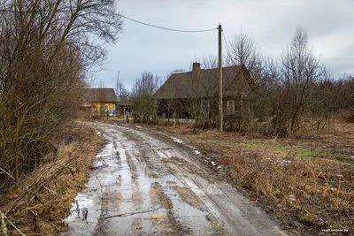 Заброшенная деревня в лесу - 80 фото