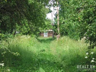 Деревни-призраки Петербурга и Ленинградской области — экскурсия в  Санкт-Петербурге