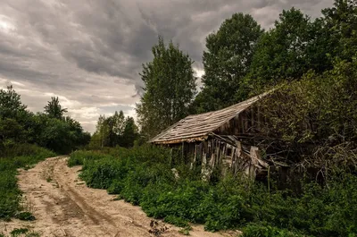 Заброшенные деревни Архангельской области: Кучепалда