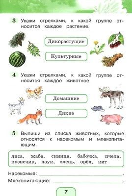 Задания по математике в картинках для детей