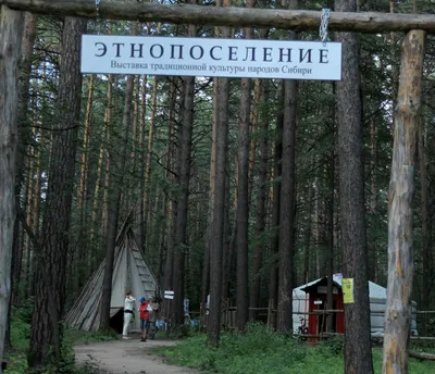 Заельцовский парк в Новосибирске откроется 25 июня - sib.fm