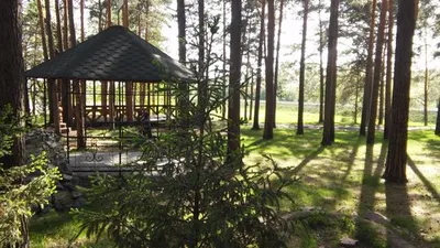 Парк культуры и отдыха Заельцовский, Новосибирск: лучшие советы перед  посещением - Tripadvisor
