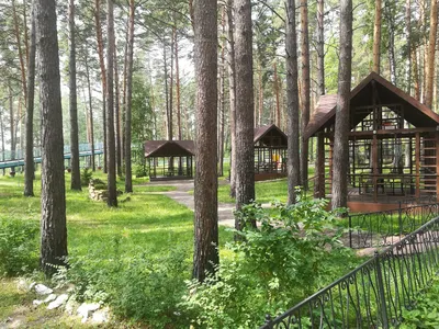 Заельцовский парк в Новосибирске откроется ко Дню города 26 июня - sib.fm