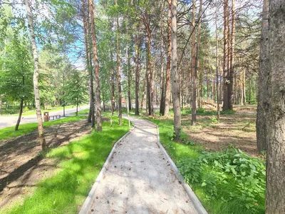 Зелёный Новосибирск: как изменился Заельцовский парк после реконструкции