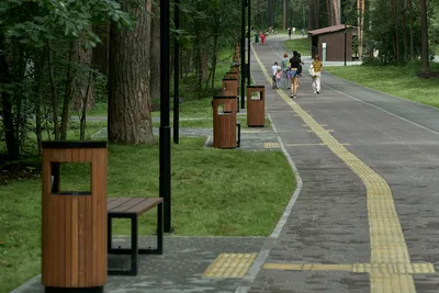 Заельцовский парк в Новосибирске откроют ко Дню города. Но уже есть  недовольные
