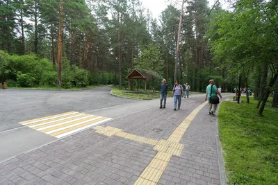 В Новосибирске открыли после реконструкции Заельцовский парк | ОБЩЕСТВО |  АиФ Новосибирск