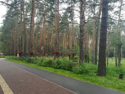 Заельцовский парк открыли после реконструкции в Новосибирске - sib.fm