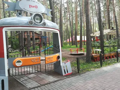 Куда сходить в Новосибирске: Заельцовский парк | SibNOVO