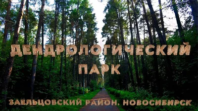 Фото: Чкалов, жилой комплекс, Новосибирск, Заельцовский район, ул.  Даргомыжского — Яндекс Карты