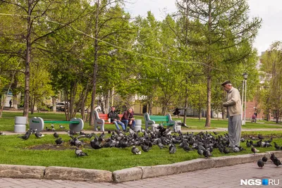 Гостиницы Новосибирска у метро Заельцовская: недорого и рядом со станцией