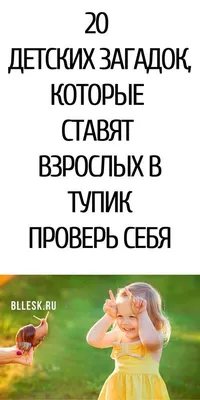 Загадки с наклейками Жукова О.С. - купить книгу с доставкой по низким  ценам, читать отзывы | ISBN 978-5-17-090231-6 | Интернет-магазин Fkniga.ru