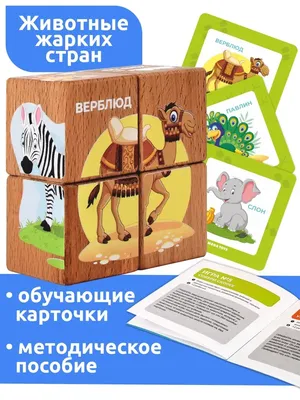 Наряжайте картинки-загадки для сортировки и оформления фотографий |  AliExpress