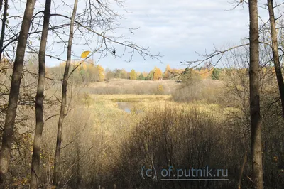 Загадки из газеты царских времен, которые покажут уровень вашей  наблюдательности | Правила жизни | Дзен