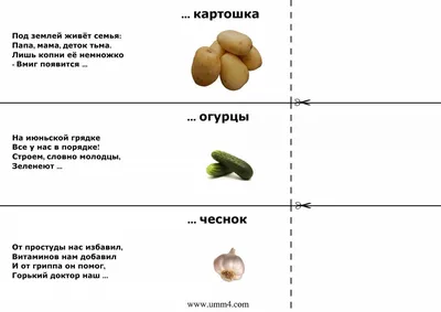 Картинки Загадки для детей (39 шт.) - #14809