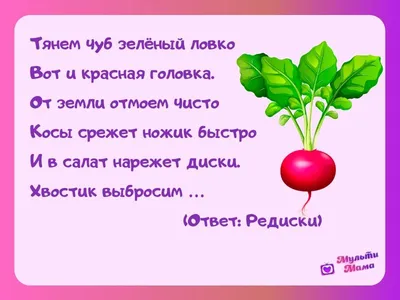 100 загадок про овощи для детей и взрослых с ответами