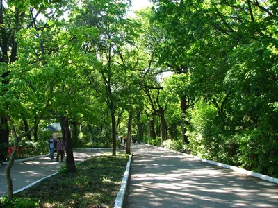 САМАРА. ЗАГОРОДНЫЙ ПАРК. Открыли для себя зеленые лужайки на склоне  высокого холма с залипательными видами на Волгу. | Городские прогулки.  ЧЕЛЯБИНСК ПЛЮС. | Дзен