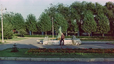 Загородный парк в Самаре планируют благоустроить – Новости Самары и  Самарской области – ГТРК Самара