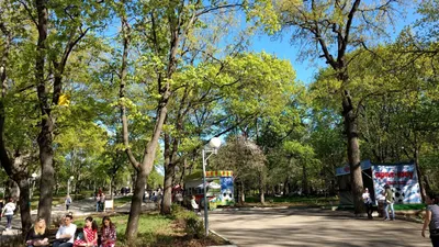 Загородный парк, Самара. Гостиницы рядом, фото, видео, сайт, адрес, цены  2024, как добраться — Туристер.Ру