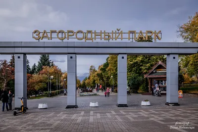 Загородный парк в городе Самара. Планы на его реконструкцию | Путешествия в  отпуске и не только | Дзен