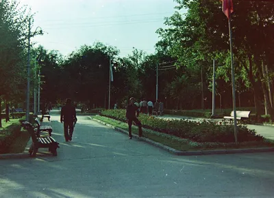 Загородный парк (ЦПКиО им. М. Горького), Самара - «Любимый всеми в Самаре  парк 💘 Ностальгия 🌳» | отзывы