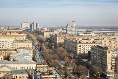 В Екатеринбурге приставы задержали должника по алиментам прямо во время  церемонии бракосочетания - KP.RU