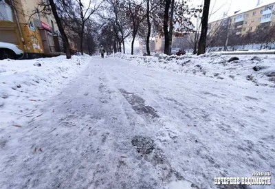 Волгоградская область завершила оцифровку актов гражданского состояния |  10.01.2021 | Волжский - БезФормата