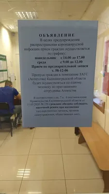Регистрация браков в Калининграде во время коронавируса: какие правила  будут действовать в ближайшее время - KP.RU
