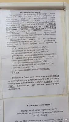 ЗАГС опубликовал статистику рождаемости и смертности в Омской области в  2022 году | 12 канал