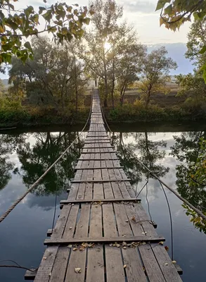 Челябинск Парк Гагарина или Городской Бор. Осень - ЯПлакалъ