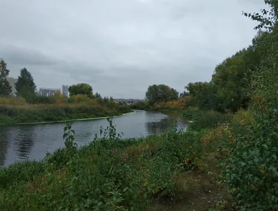 Челябинск Парк Гагарина или Городской Бор. Осень - ЯПлакалъ