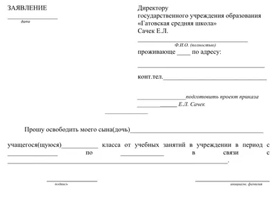 Заявление о преступлении: подача в полицию, следственный комитет