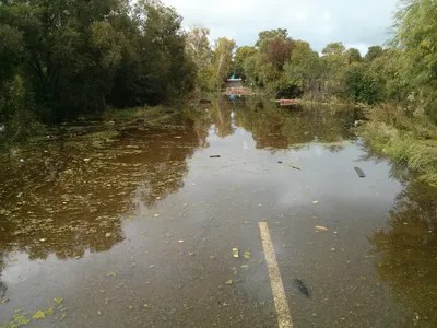 Гостиница Ривьера парк на Заимке г. Хабаровск официальный сайт