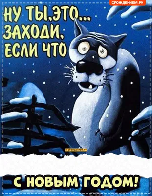 Как говорил волк в мультике: \"Ты заходи если шо\" или \"Ты заходи если чё\"? |  Есть время под солнцем | Дзен