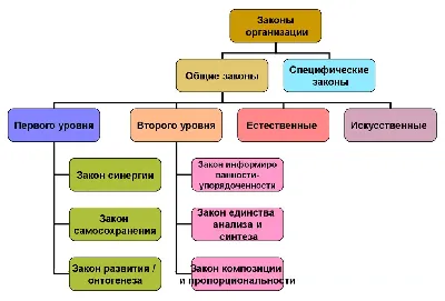 Закон суров, но это закон.\" | Юрист ЛЮН|Личный Дневник | Дзен