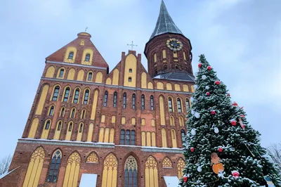 Фотосессия в замке Нессельбек 🧭 цена экскурсии 9000 руб., 7 отзывов,  расписание экскурсий в Калининграде