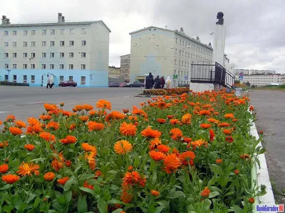 город Заозерск (Мурманская область)