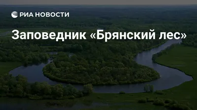 Путешествие по заповеднику «Брянский лес»