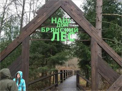 Заповедник Брянский лес. Фотограф Александр Березуцкий