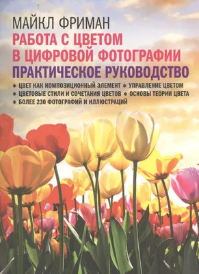 Граффити Бизнес-Концепция Холст Картина Как Зарабатывать Деньги Настенное  Искусство Вдохновение Плакат Фотографии Украшения Дома Современное  Искусство – лучшие товары в онлайн-магазине Джум Гик