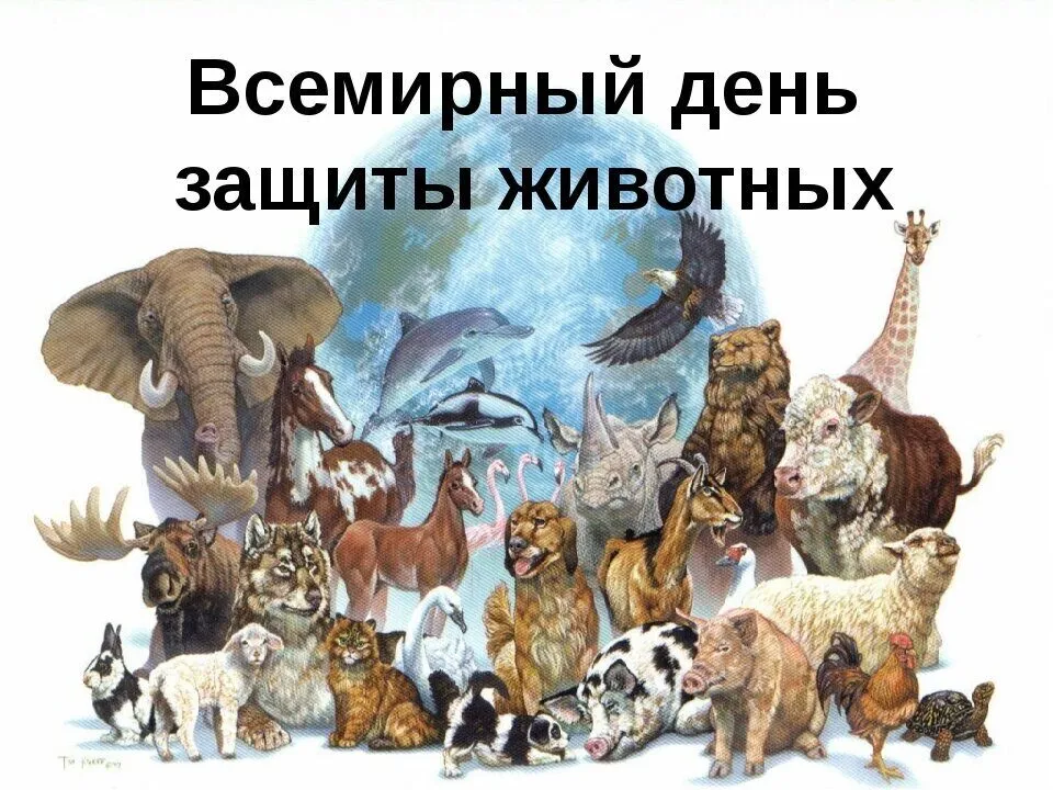 Мировой животный день защита животных мультфильм простой фон, Всемирный день животных, Берегите животных, просто фон картинки и Фото для бесплатной загрузки Мировой животный день защита животных мультфильм простой фон, Всемирный день животных, Берегите животных, просто фон картинки и Фото для бесплатной загрузки