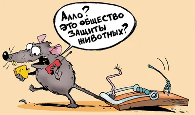 Всемирный день защиты животных | Календарь Veggie People
