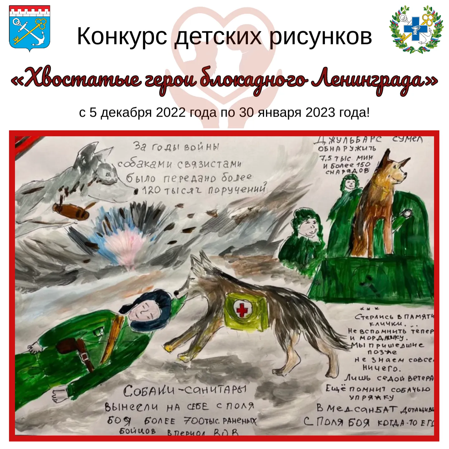 Персональный сайт - Защита бездомных животных Персональный сайт - Защита бездомных животных