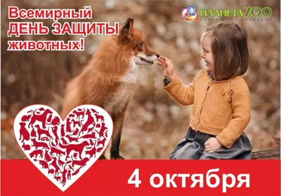 Путин одобрил закрепление в Конституции нормы о защите животных -  Российская газета