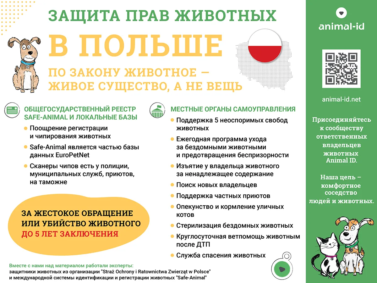Чернышковский муниципальный район Волгоградской области - Всемирный день защиты животных Чернышковский муниципальный район Волгоградской области - Всемирный день защиты животных