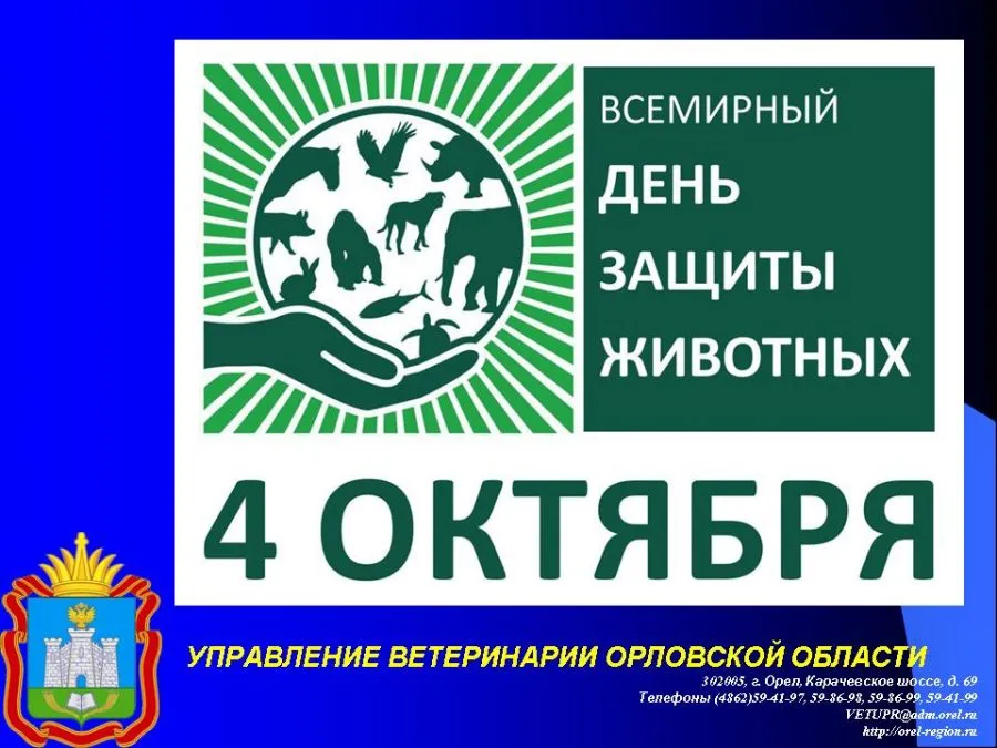 Проект «Защита животного мира» - Управление ветеринарии Ленинградской области Проект «Защита животного мира» - Управление ветеринарии Ленинградской области