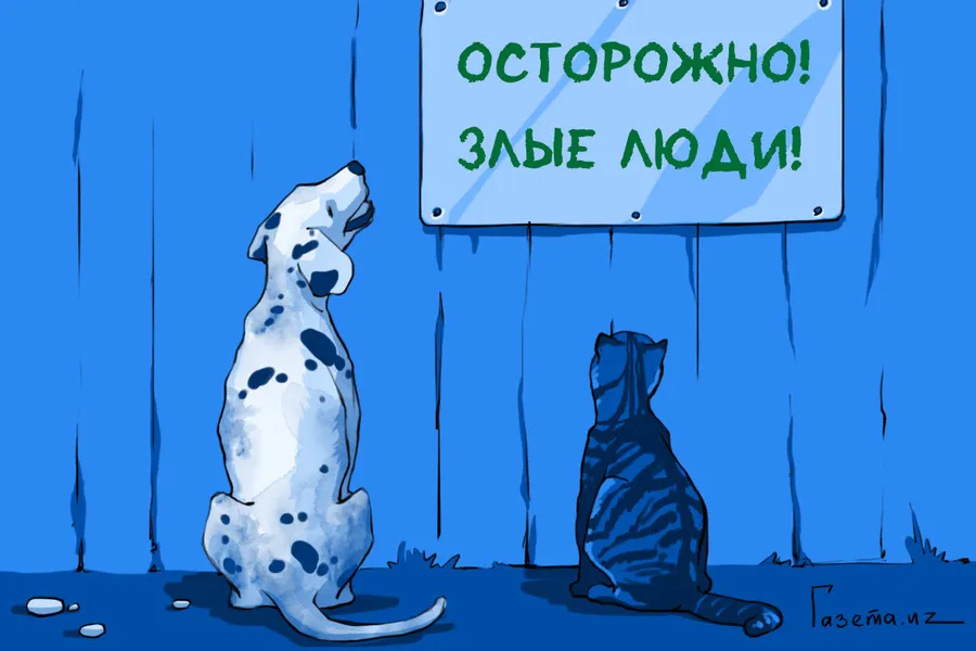 День защиты животных! День защиты животных!