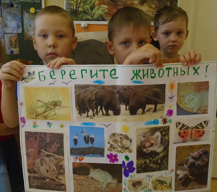 Человек, помоги мне!»: ко Всемирному Дню защиты животных 4 октября » МБУК «Библионика» - городские библиотеки Великого Новгорода Человек, помоги мне!»: ко Всемирному Дню защиты животных 4 октября » МБУК «Библионика» - городские библиотеки Великого Новгорода